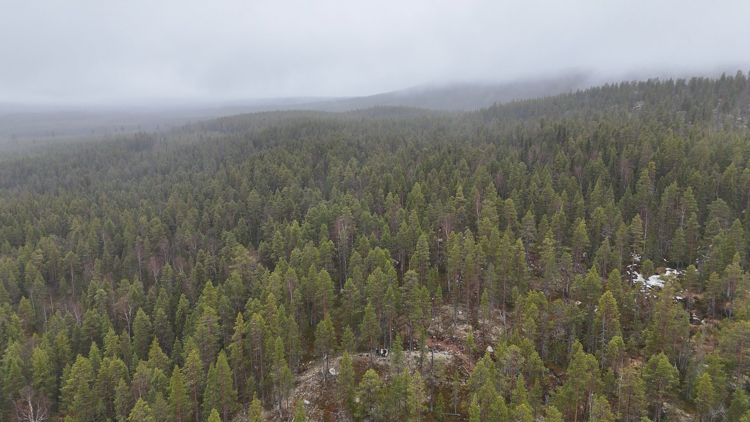 Vy &ouml;ver Stortj&auml;rnhobben i dimma