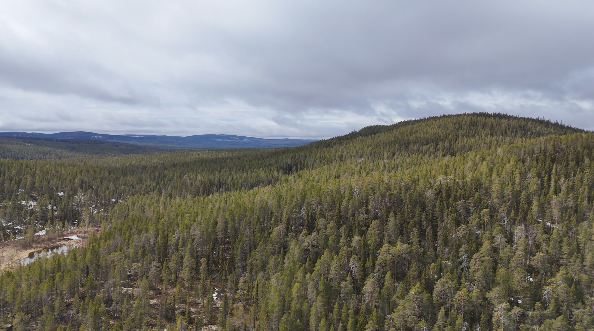 Drönarbild över Stortjärnhobben.